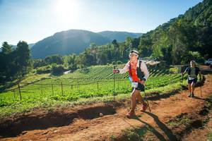 BIB: 
                            <button type="button" onclick="openModal(19176088)" class="btn btn-primary btn-sm float-right btn-popup" data-toggle="modal" data-target=".modal-high-quality">
                        <i class="fas fa-shopping-cart"></i> Add to Cart
                    </button>
                                            <button type="button" onclick="isThisMe(19176088, true)" class="btn btn-success btn-sm float-right btn-popup btn-isme hidden" data-toggle="tooltip" data-placement="bottom" title="นี่คือรูปของคุณใช่ไหม คลิกที่นี่เพื่อเอาเข้าอัลบั้ม">
                        <i class="fas fa-plus"></i> Add to album
                    </button>
                    <button type="button" onclick="isThisMe(19176088, false)" class="btn btn-warning btn-sm float-right btn-popup btn-isnotme hidden">
                        <i class="fas fa-ban"></i> Remove from album
                    </button>